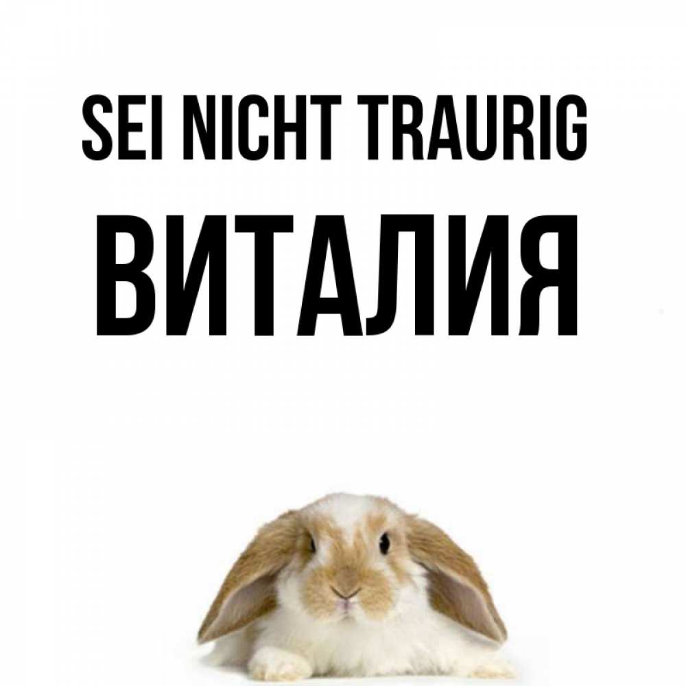 Открытка на каждый день с именем, Виталия Sei nicht traurig коричнево белый заяц с большими ушками Прикольная открытка с пожеланием онлайн скачать бесплатно 