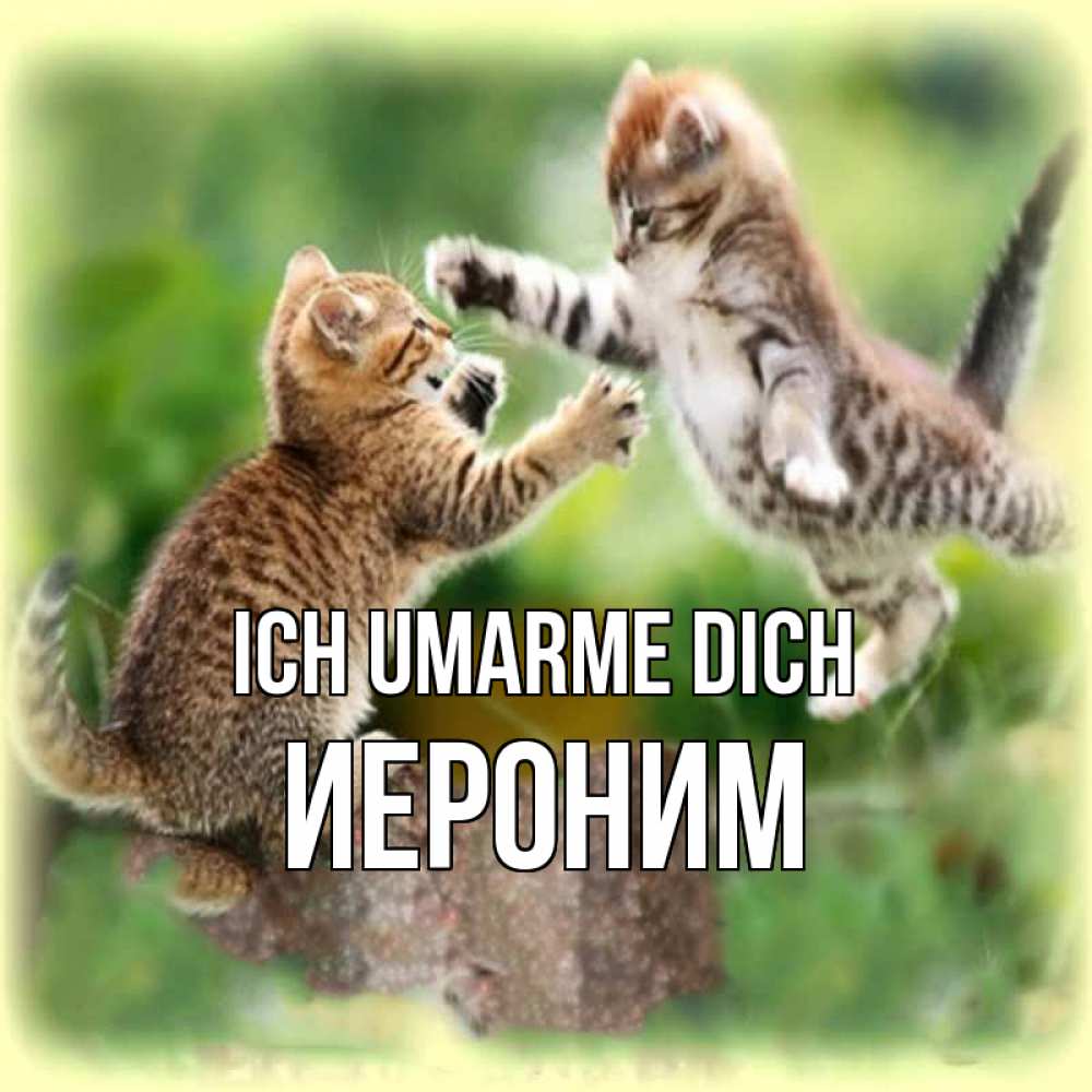 Открытка на каждый день с именем, Иероним Ich umarme dich игры котят Прикольная открытка с пожеланием онлайн скачать бесплатно 