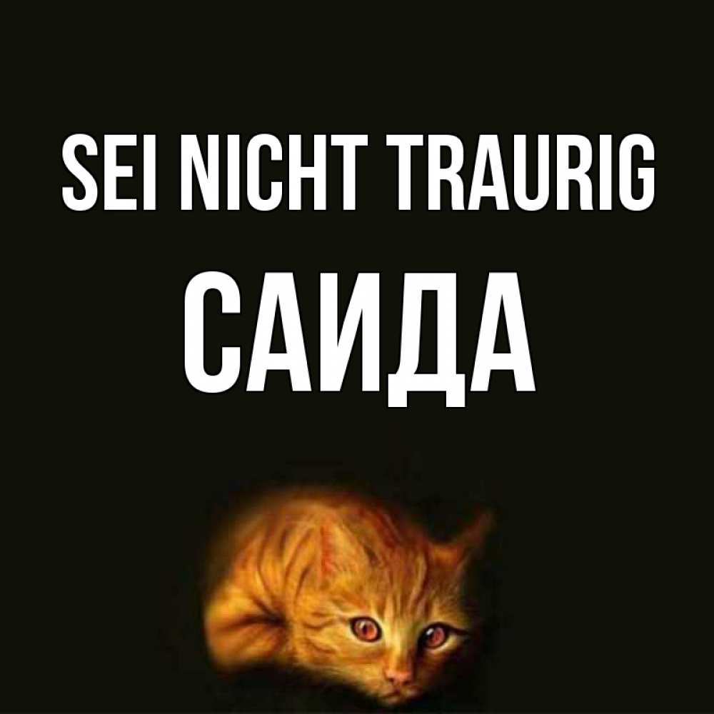 Открытка на каждый день с именем, Саида Sei nicht traurig лежащий кот в темноте Прикольная открытка с пожеланием онлайн скачать бесплатно 