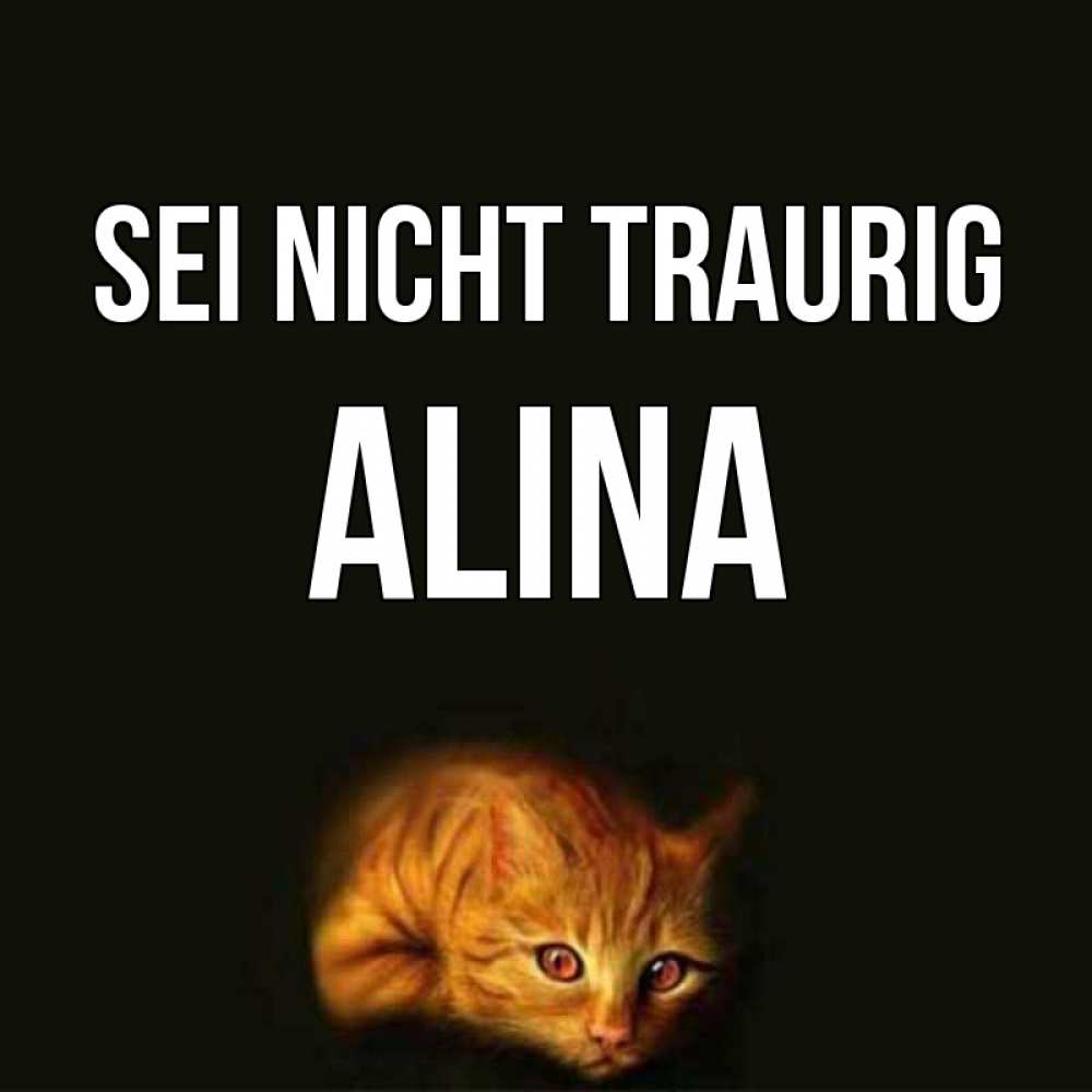 Открытка на каждый день с именем, Alina Sei nicht traurig лежащий кот в темноте Прикольная открытка с пожеланием онлайн скачать бесплатно 