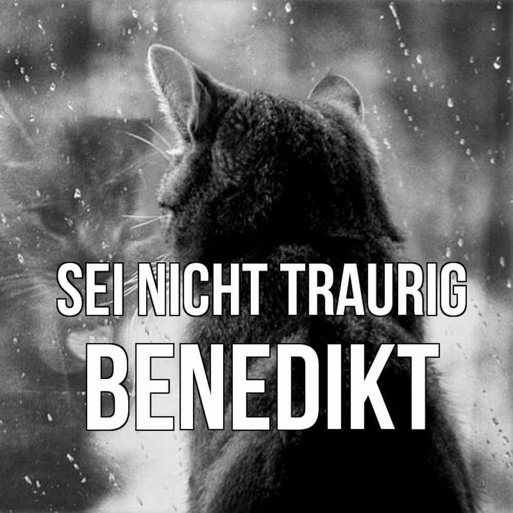 Открытка на каждый день с именем, Benedikt Sei nicht traurig отражение кота 1 Прикольная открытка с пожеланием онлайн скачать бесплатно 