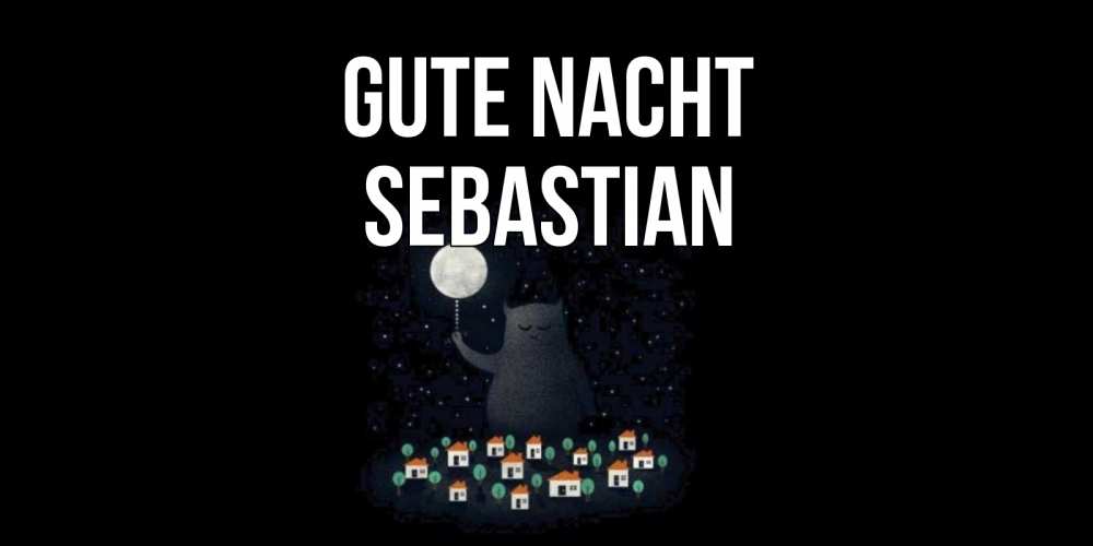 Открытка на каждый день с именем, Sebastian Gute Nacht кот,луна, ночь, звезды Прикольная открытка с пожеланием онлайн скачать бесплатно 