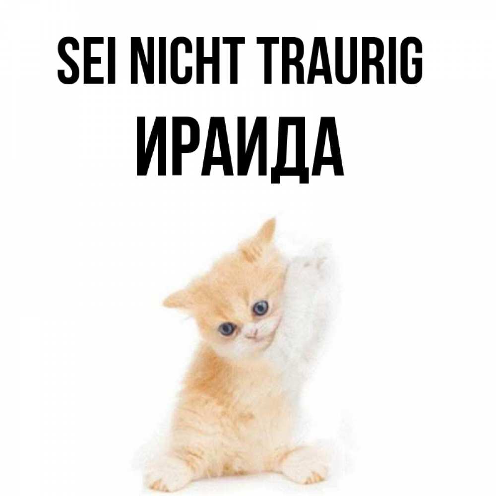 Открытка на каждый день с именем, Ираида Sei nicht traurig просящий кот Прикольная открытка с пожеланием онлайн скачать бесплатно 