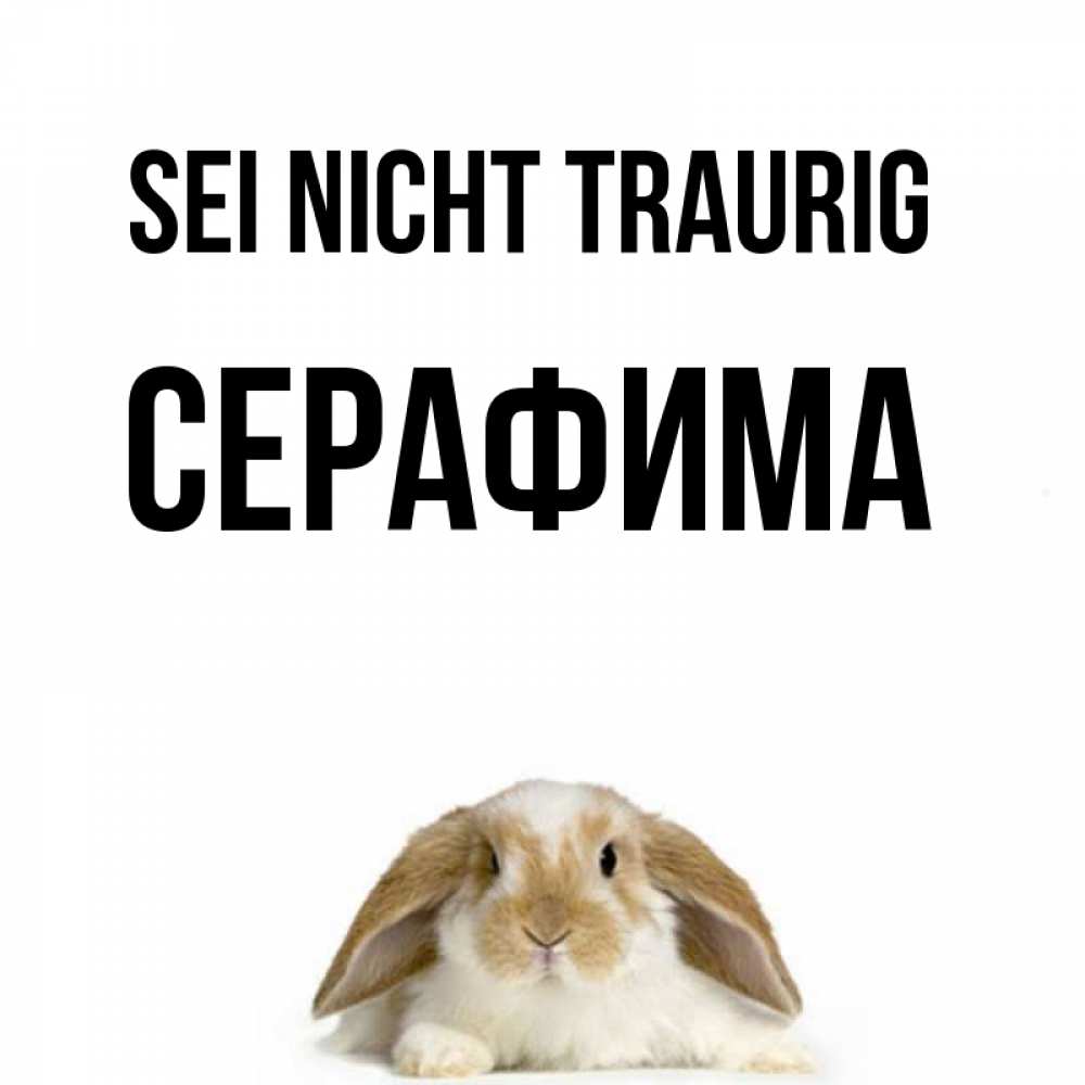 Открытка на каждый день с именем, Серафима Sei nicht traurig коричнево белый заяц с большими ушками Прикольная открытка с пожеланием онлайн скачать бесплатно 