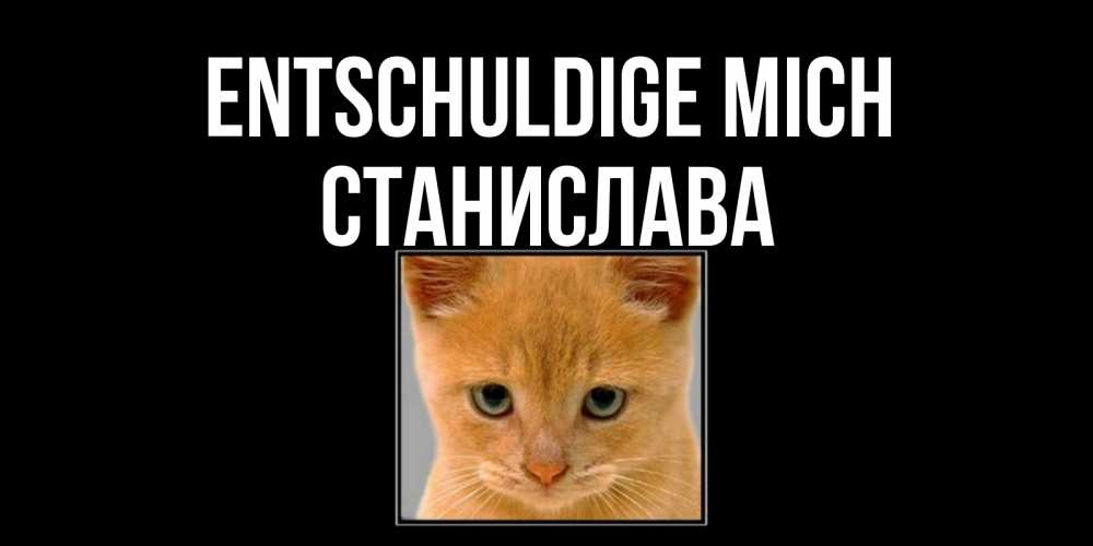 Открытка на каждый день с именем, Станислава Entschuldige mich рыжий грустный кот просит прощения Прикольная открытка с пожеланием онлайн скачать бесплатно 