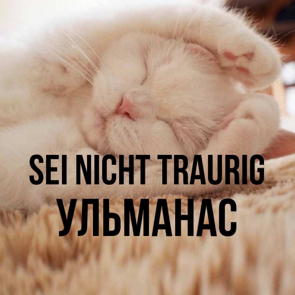 Открытка на каждый день с именем, Ульманас Sei nicht traurig Котенок спит Прикольная открытка с пожеланием онлайн скачать бесплатно 