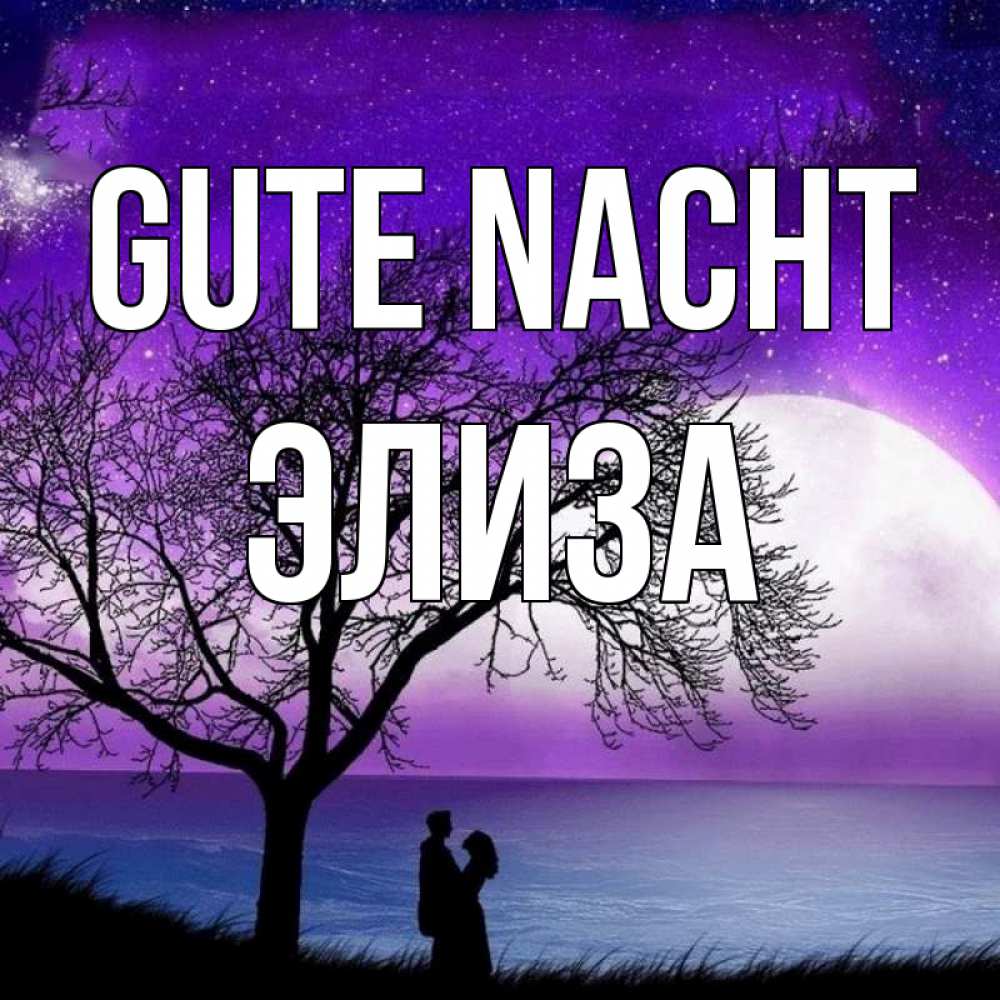 Открытка на каждый день с именем, Элиза Gute Nacht огромная луна и парочка Прикольная открытка с пожеланием онлайн скачать бесплатно 