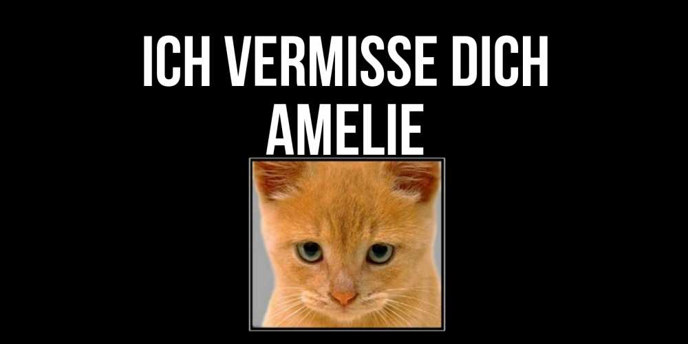Открытка на каждый день с именем, Amelie Ich vermisse dich открытки рыжий котенок скучает по тебе Прикольная открытка с пожеланием онлайн скачать бесплатно 