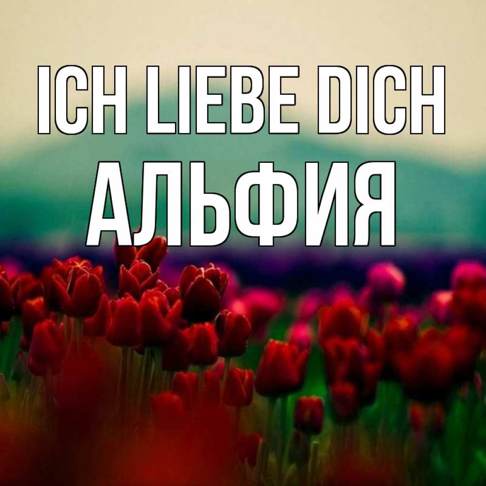 Открытка на каждый день с именем, Альфия Ich liebe dich тюльпаны 4 Прикольная открытка с пожеланием онлайн скачать бесплатно 