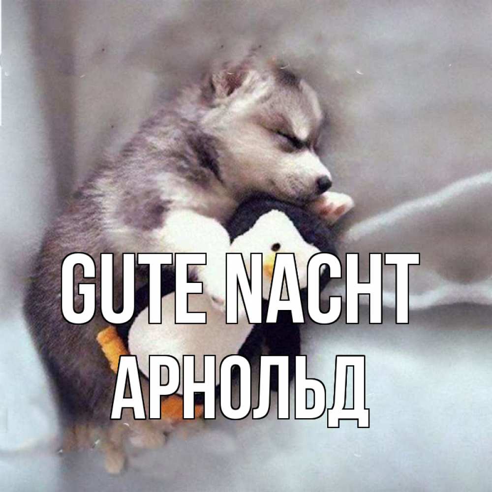 Открытка на каждый день с именем, Арнольд Gute Nacht обнимашки щенка и пингвина Прикольная открытка с пожеланием онлайн скачать бесплатно 