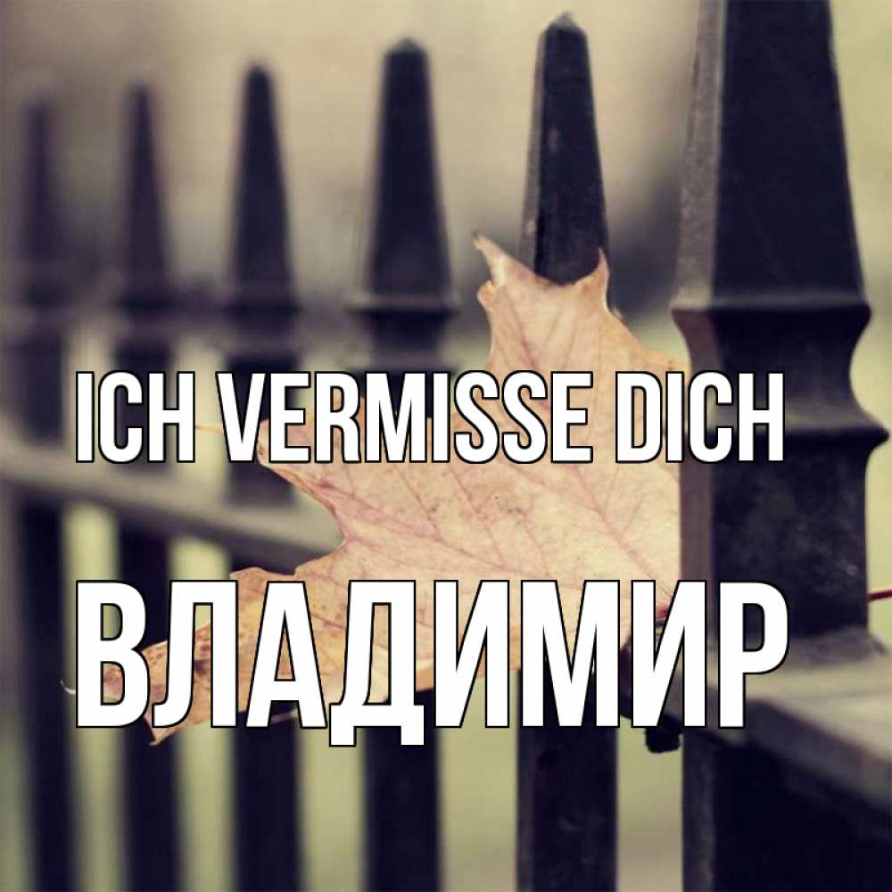 Открытка на каждый день с именем, Владимир Ich vermisse dich очень скучно Прикольная открытка с пожеланием онлайн скачать бесплатно 
