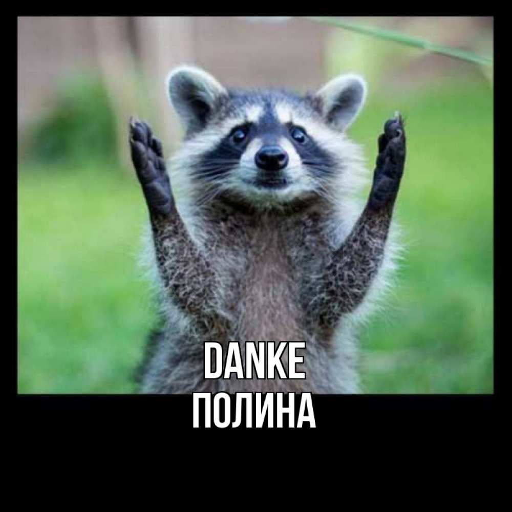 Открытка на каждый день с именем, Полина Danke милые животные Прикольная открытка с пожеланием онлайн скачать бесплатно 