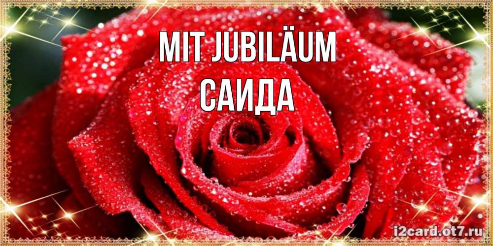 Открытка на каждый день с именем, Саида Mit Jubiläum роса и роза. открытка с красивой розой Прикольная открытка с пожеланием онлайн скачать бесплатно 