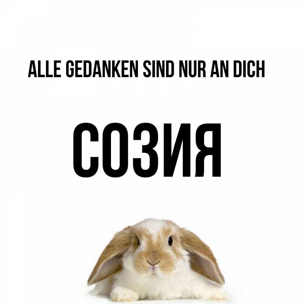 Открытка на каждый день с именем, Созия Alle Gedanken sind nur an dich подписать своими руками онлайн Прикольная открытка с пожеланием онлайн скачать бесплатно 