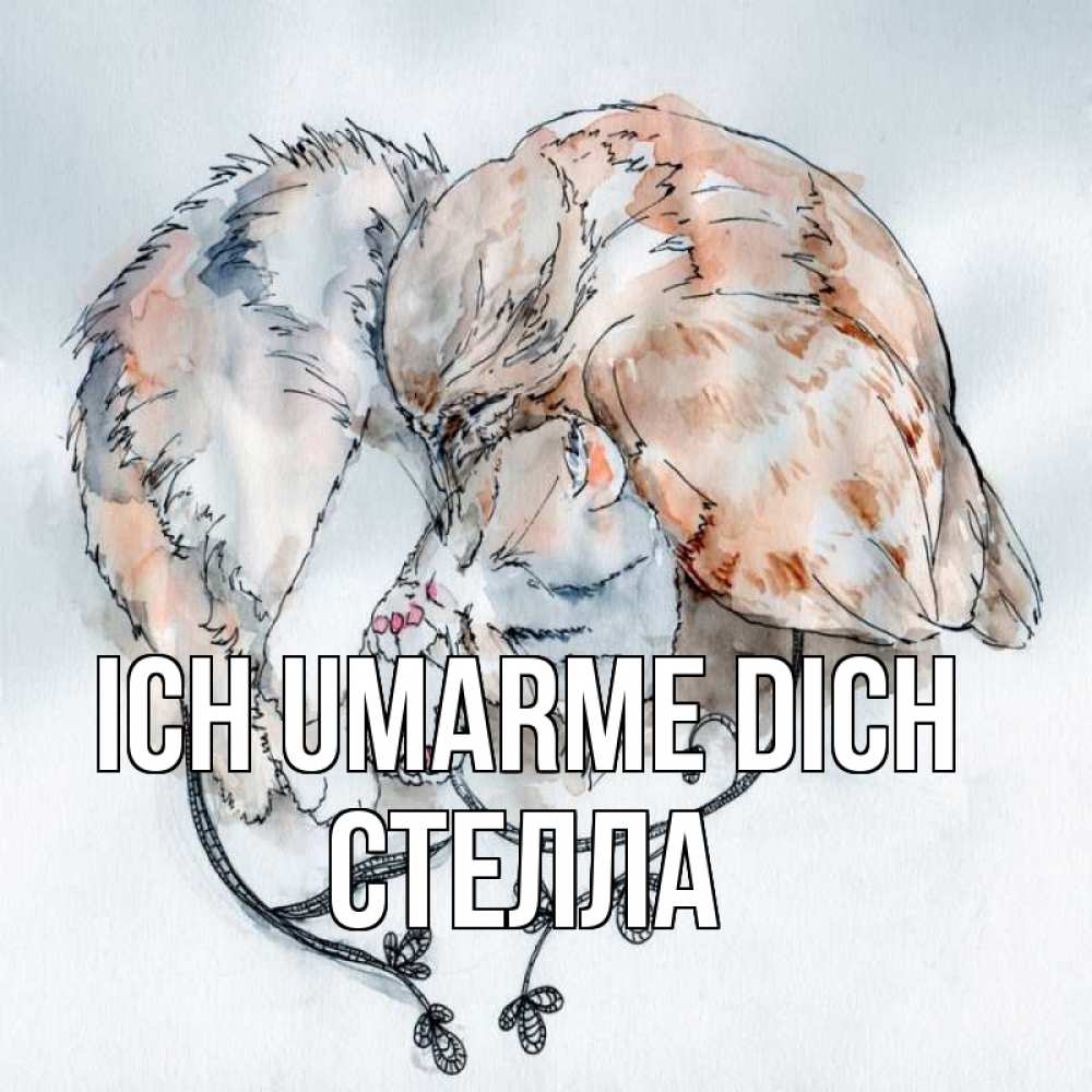 Открытка на каждый день с именем, Стелла Ich umarme dich можно быть вместе даже когда очень разные Прикольная открытка с пожеланием онлайн скачать бесплатно 