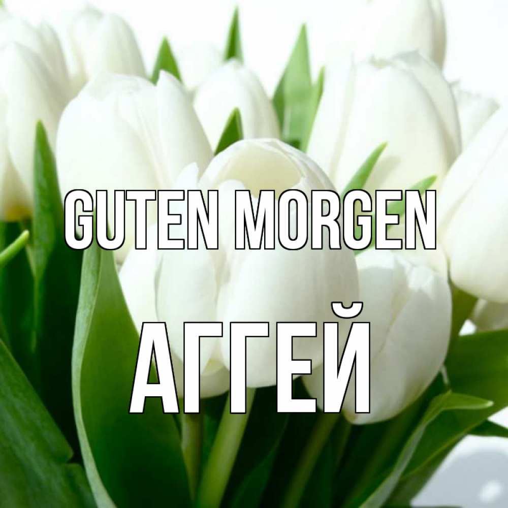 Открытка на каждый день с именем, Аггей Guten Morgen открытки на каждый день по именам Прикольная открытка с пожеланием онлайн скачать бесплатно 
