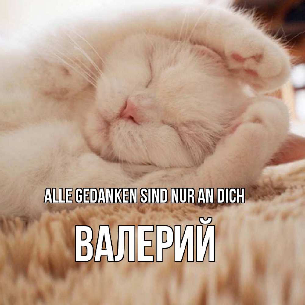 Открытка на каждый день с именем, Валерий Alle Gedanken sind nur an dich для любимой девушки милота Прикольная открытка с пожеланием онлайн скачать бесплатно 