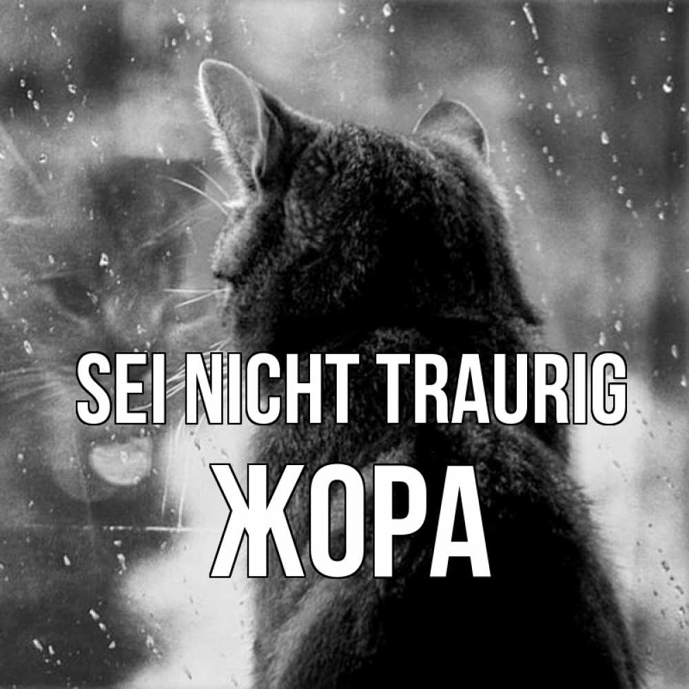 Открытка на каждый день с именем, Жора Sei nicht traurig отражение кота 1 Прикольная открытка с пожеланием онлайн скачать бесплатно 