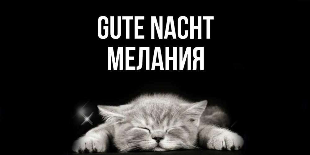 Открытка на каждый день с именем, Мелания Gute Nacht спящий котик Прикольная открытка с пожеланием онлайн скачать бесплатно 