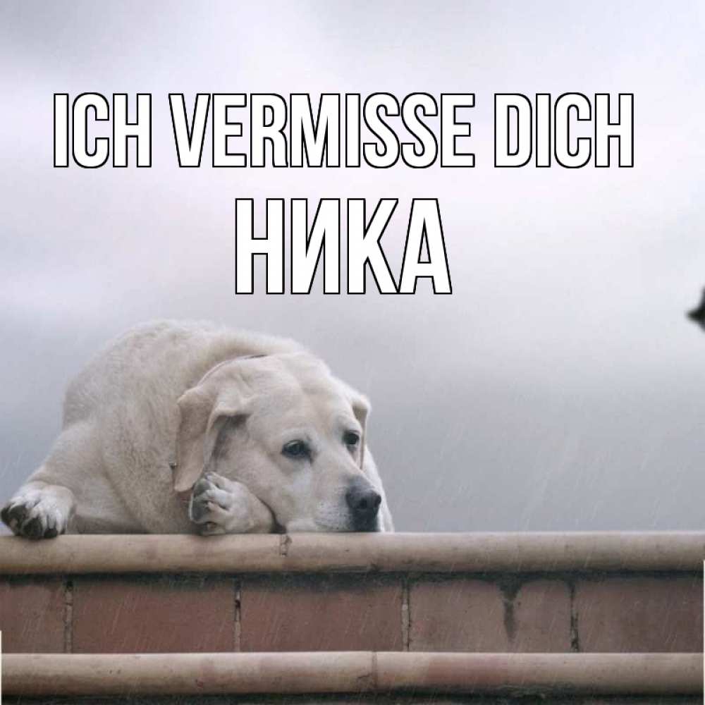 Открытка на каждый день с именем, Ника Ich vermisse dich ждет Прикольная открытка с пожеланием онлайн скачать бесплатно 