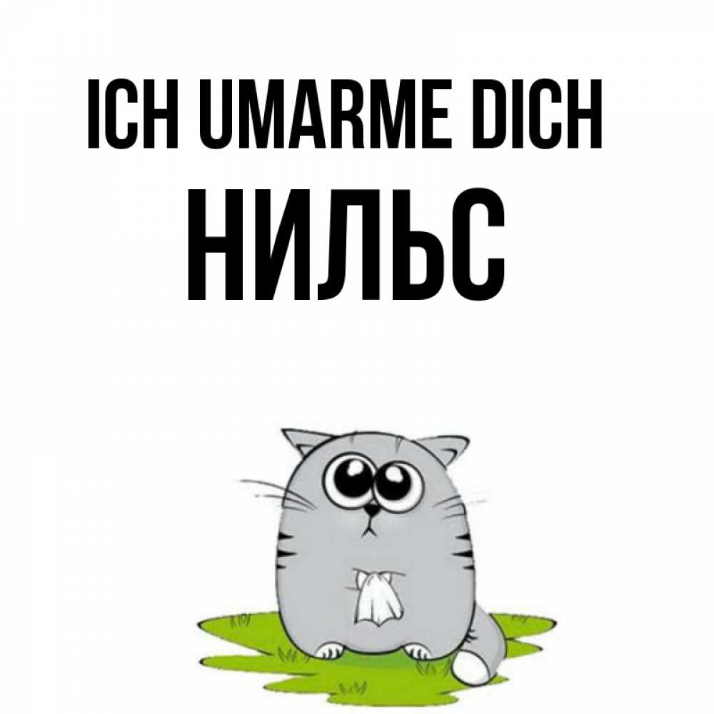 Открытка на каждый день с именем, Нильс Ich umarme dich котик теребит платочек сидя на травке Прикольная открытка с пожеланием онлайн скачать бесплатно 