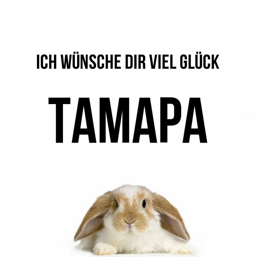 Открытка на каждый день с именем, Тамара Ich wünsche dir viel Glück открытки с произвольным текстом который можно вставить в открытку и создать ее самостоятельно бесплатно онлайн Прикольная открытка с пожеланием онлайн скачать бесплатно 