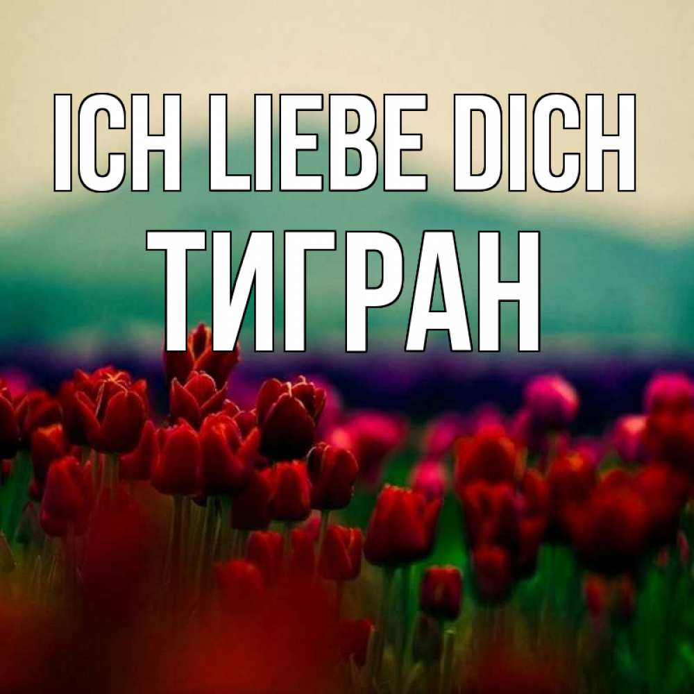 Открытка на каждый день с именем, Тигран Ich liebe dich тюльпаны 4 Прикольная открытка с пожеланием онлайн скачать бесплатно 