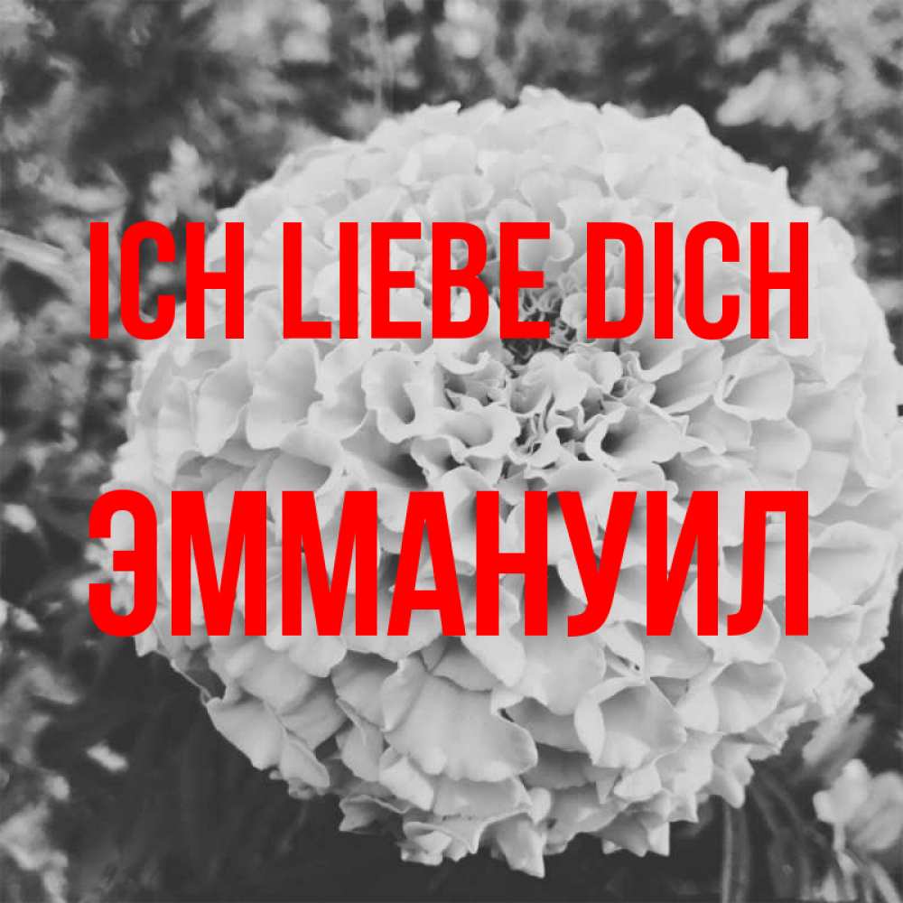 Открытка на каждый день с именем, Эммануил Ich liebe dich подпись Прикольная открытка с пожеланием онлайн скачать бесплатно 