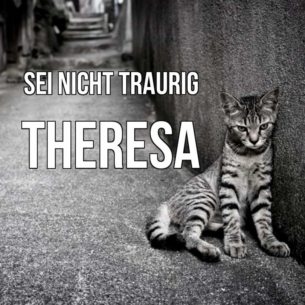 Открытка на каждый день с именем, Theresa Sei nicht traurig скучающий котик Прикольная открытка с пожеланием онлайн скачать бесплатно 