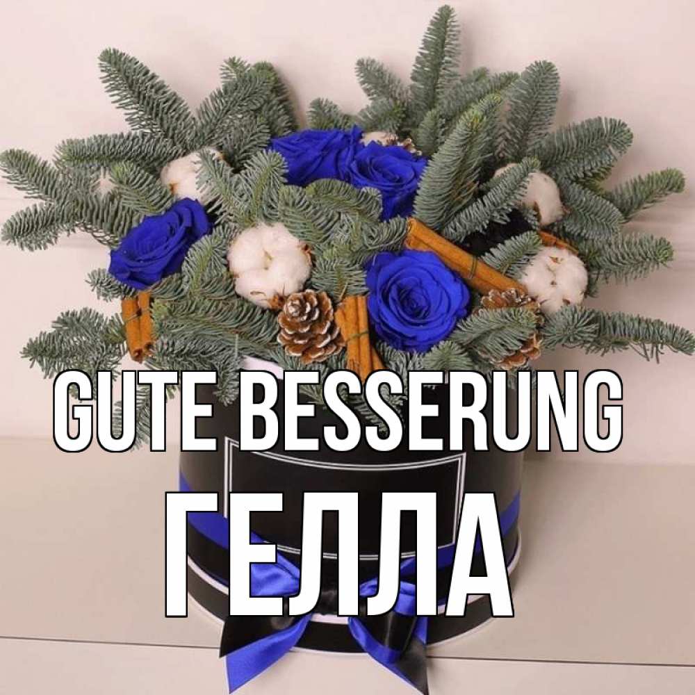 Открытка на каждый день с именем, Гелла Gute Besserung короче кто то загрузил эти шишки Прикольная открытка с пожеланием онлайн скачать бесплатно 