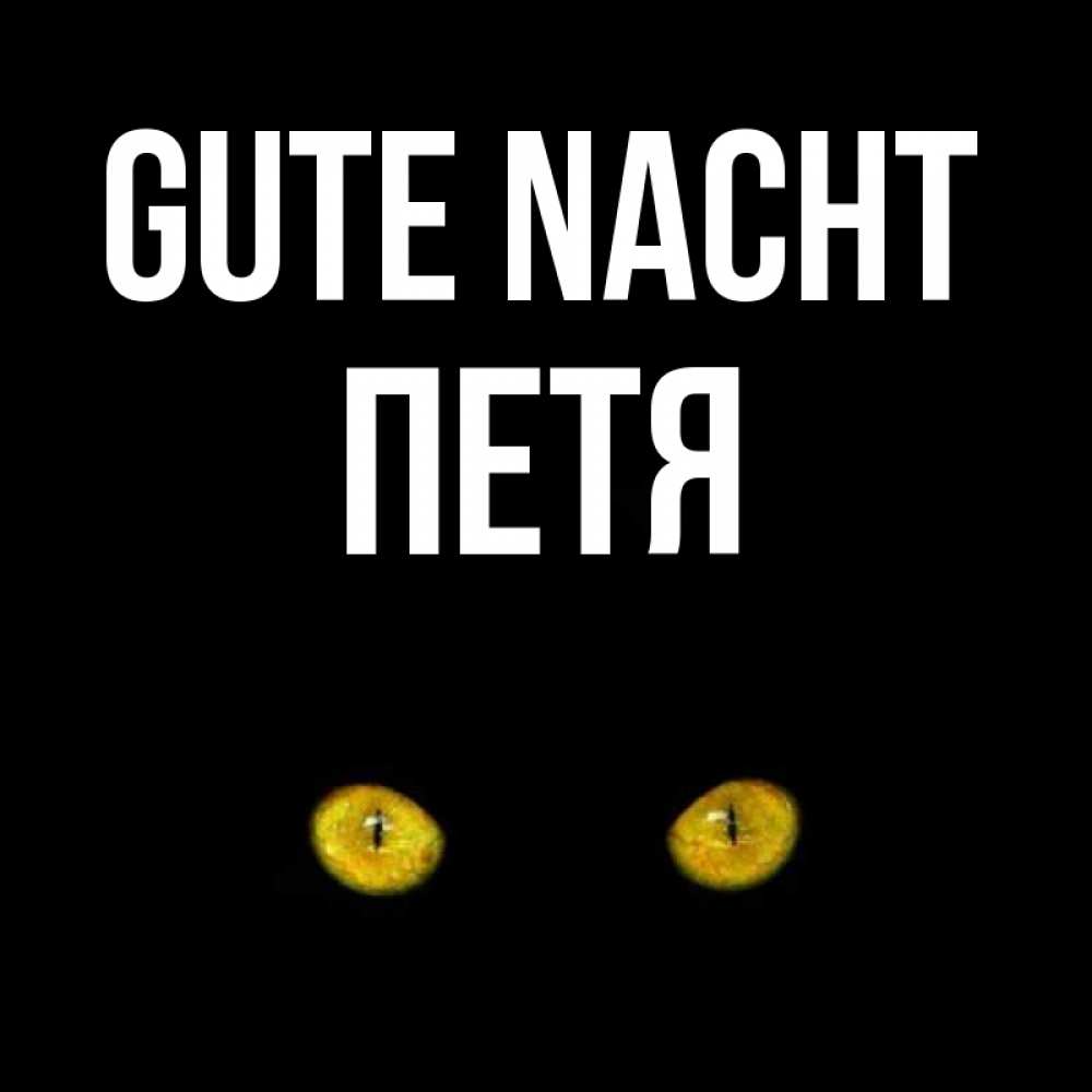 Открытка на каждый день с именем, Петя Gute Nacht сладких снов бесстрашный мой дружочек Прикольная открытка с пожеланием онлайн скачать бесплатно 