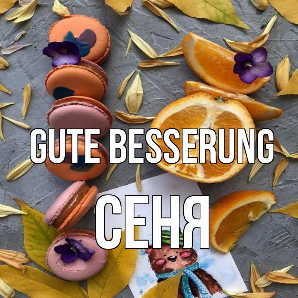 Открытка на каждый день с именем, Сеня Gute Besserung не болейте Прикольная открытка с пожеланием онлайн скачать бесплатно 