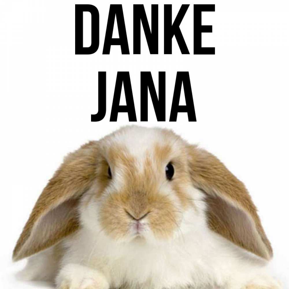 Открытка на каждый день с именем, Jana Danke коричнево белый заяц Прикольная открытка с пожеланием онлайн скачать бесплатно 