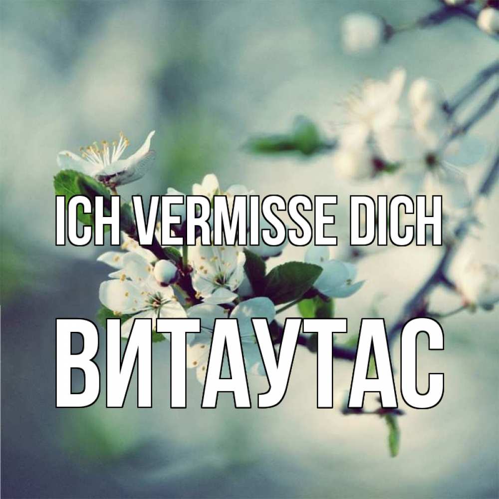 Открытка на каждый день с именем, Витаутас Ich vermisse dich весна Прикольная открытка с пожеланием онлайн скачать бесплатно 