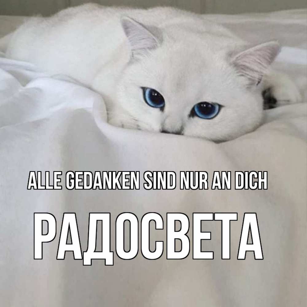 Открытка на каждый день с именем, Радосвета Alle Gedanken sind nur an dich я очень по тебе скучаю и тоскую Прикольная открытка с пожеланием онлайн скачать бесплатно 