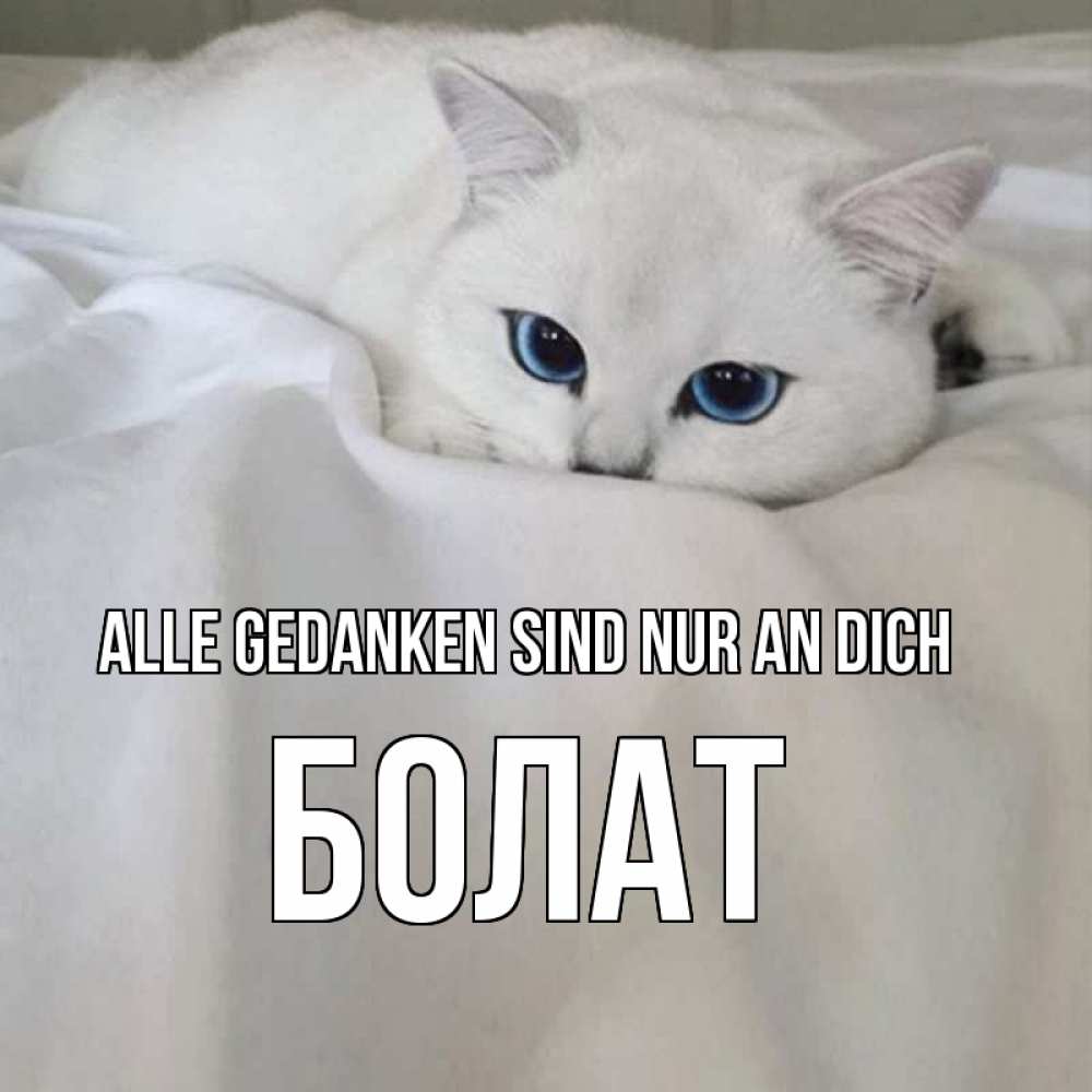 Открытка на каждый день с именем, Болат Alle Gedanken sind nur an dich я очень по тебе скучаю и тоскую Прикольная открытка с пожеланием онлайн скачать бесплатно 