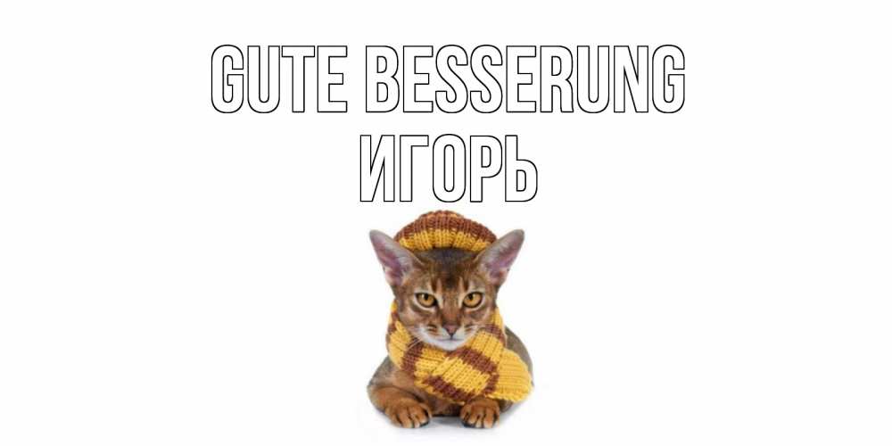 Открытка на каждый день с именем, Игорь Gute Besserung родные не болейте Прикольная открытка с пожеланием онлайн скачать бесплатно 