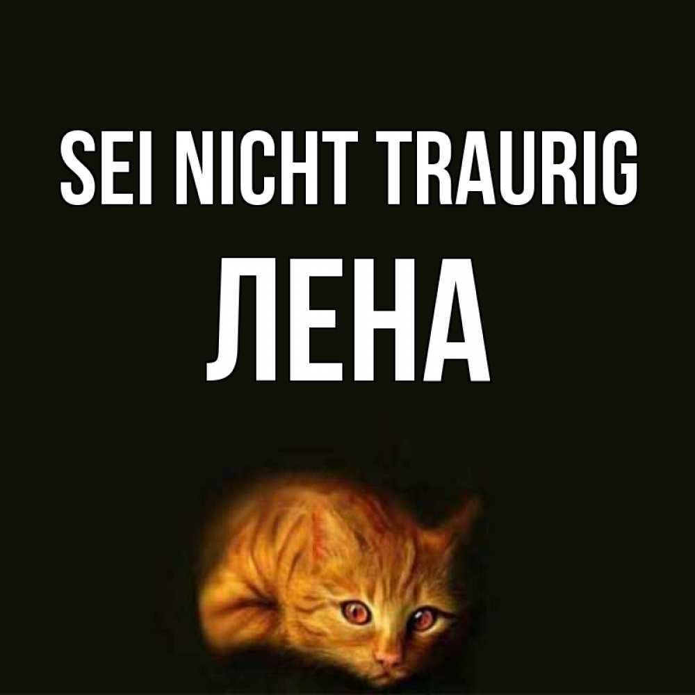 Открытка на каждый день с именем, Лена Sei nicht traurig лежащий кот в темноте Прикольная открытка с пожеланием онлайн скачать бесплатно 