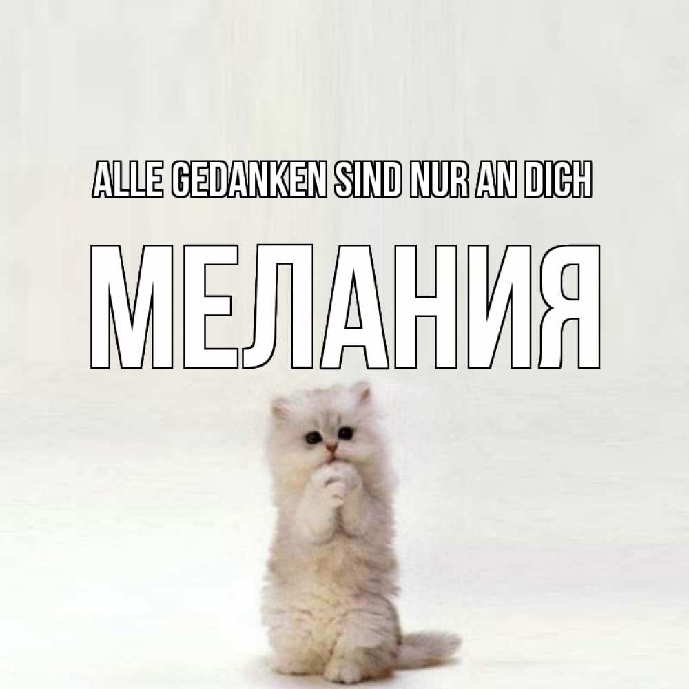 Открытка на каждый день с именем, Мелания Alle Gedanken sind nur an dich кот стоит на задних лапах Прикольная открытка с пожеланием онлайн скачать бесплатно 