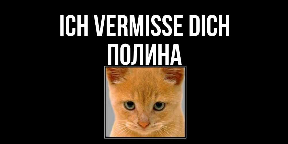 Открытка на каждый день с именем, Полина Ich vermisse dich открытки рыжий котенок скучает по тебе Прикольная открытка с пожеланием онлайн скачать бесплатно 