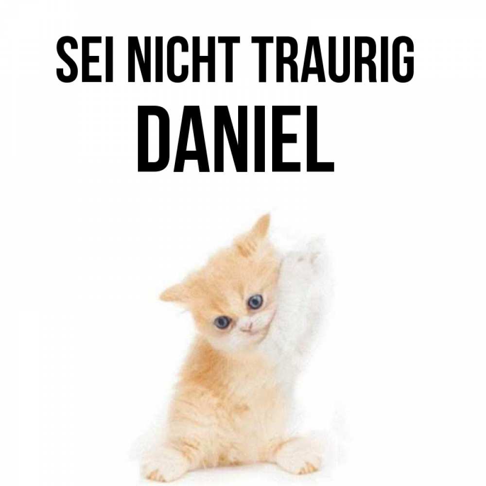 Открытка на каждый день с именем, Daniel Sei nicht traurig просящий кот Прикольная открытка с пожеланием онлайн скачать бесплатно 