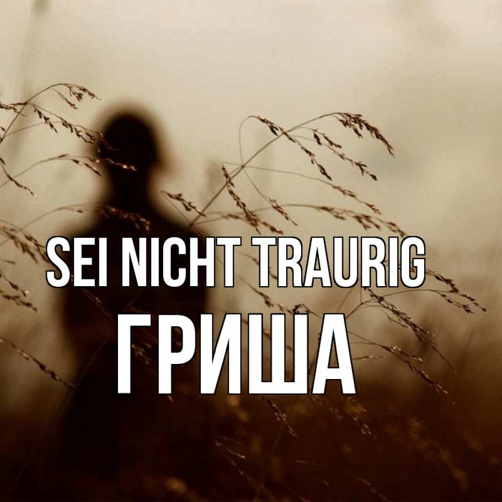 Открытка на каждый день с именем, Гриша Sei nicht traurig грусть Прикольная открытка с пожеланием онлайн скачать бесплатно 