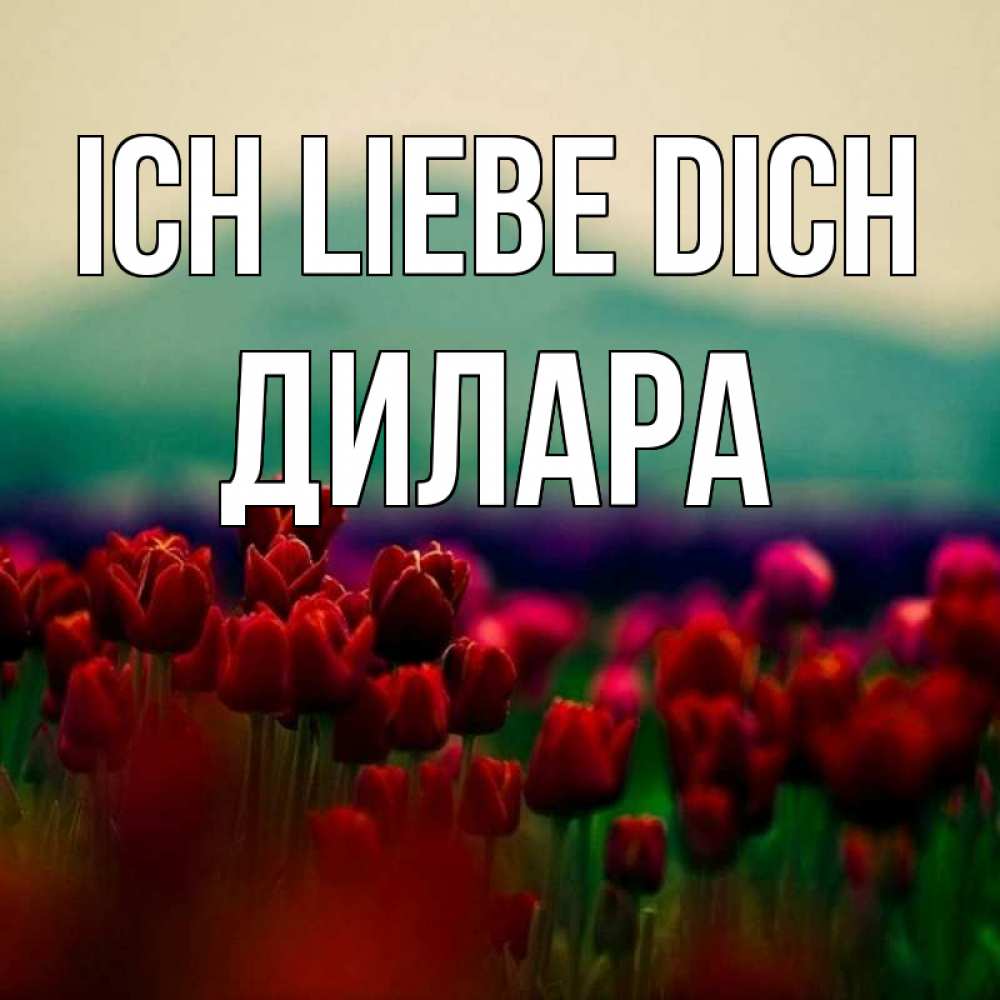 Открытка на каждый день с именем, Дилара Ich liebe dich тюльпаны 4 Прикольная открытка с пожеланием онлайн скачать бесплатно 