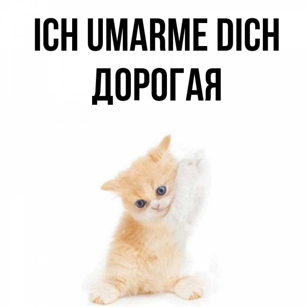 Открытка на каждый день с именем, Дорогая Ich umarme dich я хочу очень скорее обнимаешек Прикольная открытка с пожеланием онлайн скачать бесплатно 
