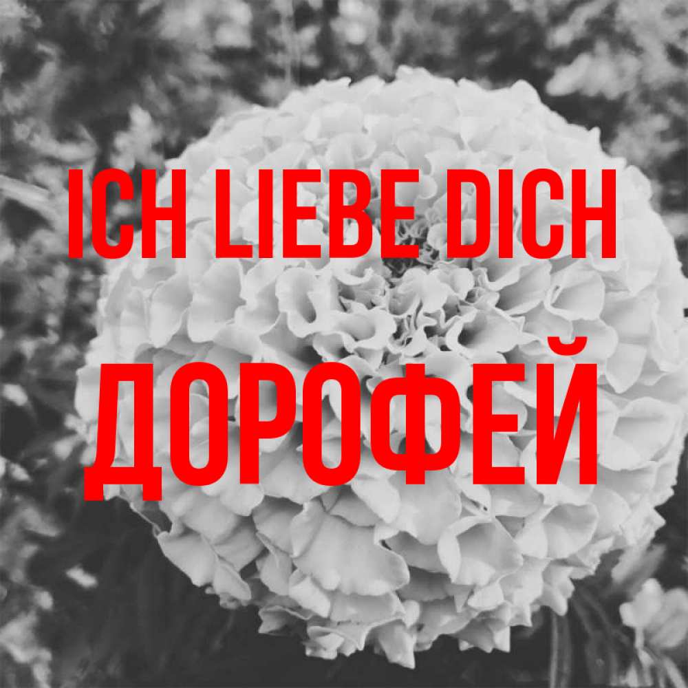 Открытка на каждый день с именем, Дорофей Ich liebe dich подпись Прикольная открытка с пожеланием онлайн скачать бесплатно 