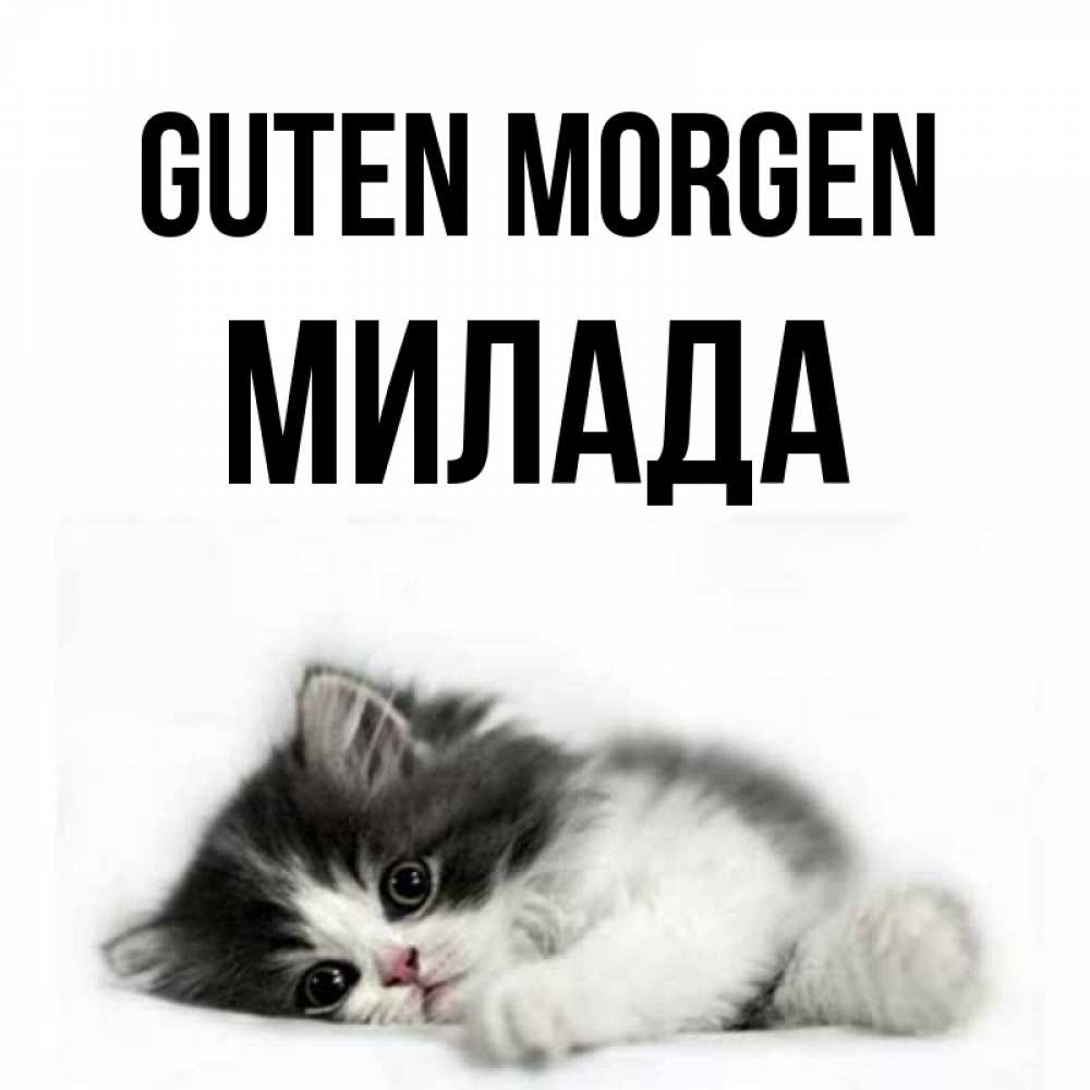 Открытка на каждый день с именем, Милада Guten Morgen кот лапки Прикольная открытка с пожеланием онлайн скачать бесплатно 