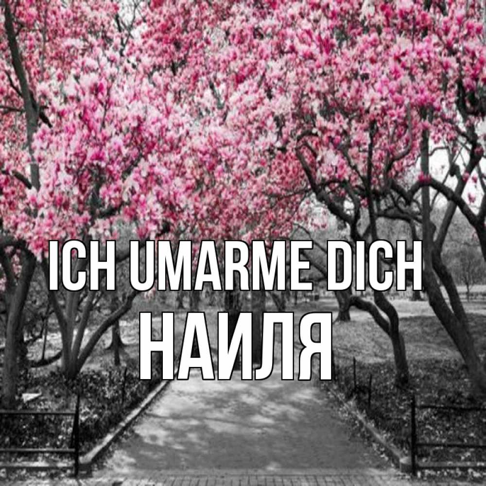 Открытка на каждый день с именем, Наиля Ich umarme dich обработанное фото Прикольная открытка с пожеланием онлайн скачать бесплатно 