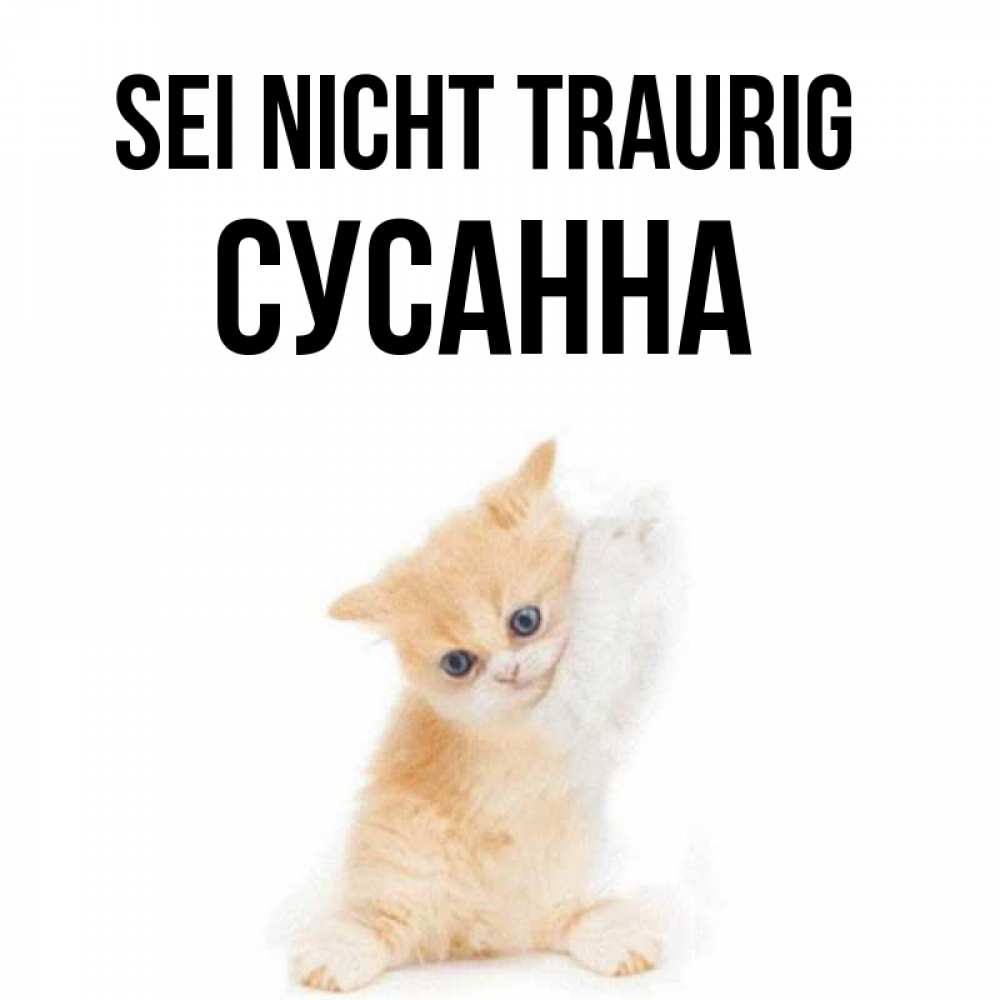 Открытка на каждый день с именем, Сусанна Sei nicht traurig просящий кот Прикольная открытка с пожеланием онлайн скачать бесплатно 