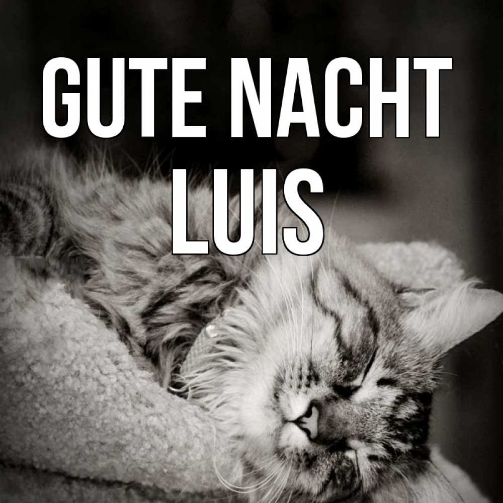 Открытка на каждый день с именем, Luis Gute Nacht котярик пушистый Прикольная открытка с пожеланием онлайн скачать бесплатно 