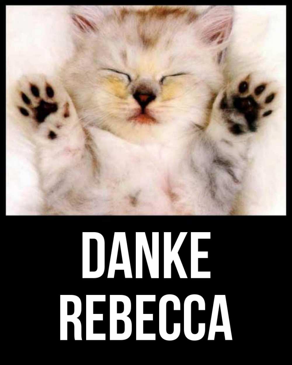 Открытка на каждый день с именем, Rebecca Danke маленький котенок Прикольная открытка с пожеланием онлайн скачать бесплатно 